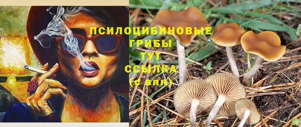 ALPHA PVP Бронницы