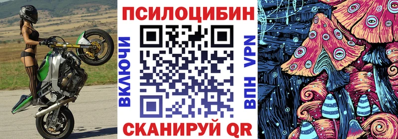 Псилоцибиновые грибы Cubensis Шали